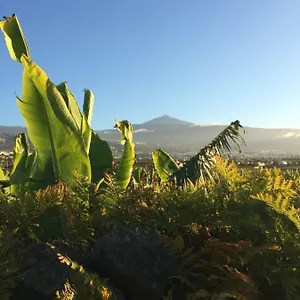 https://finca-la-plantacion-agroturismo.tenerifehoteles.net